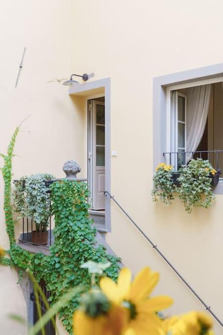 Corte Paolina - Charming Courtyard Inside Lukka Zewnętrze zdjęcie