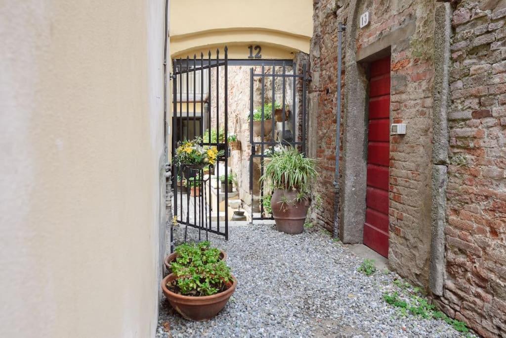 Corte Paolina - Charming Courtyard Inside Lukka Zewnętrze zdjęcie