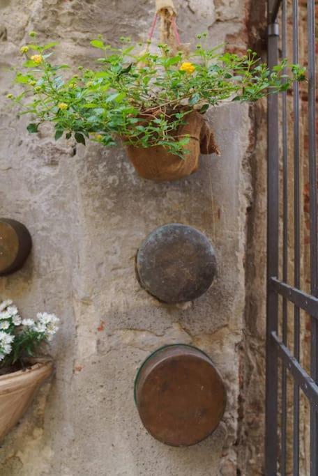 Corte Paolina - Charming Courtyard Inside Lukka Zewnętrze zdjęcie